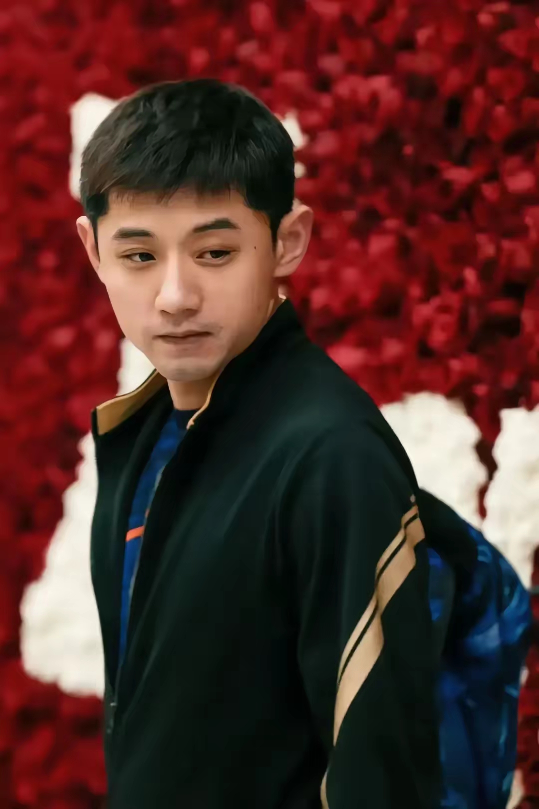 关于英格兰队轻取葡萄牙队,张继科惊艳四座的信息 关于英格兰队轻取葡萄牙队,张继科惊艳四座的信息