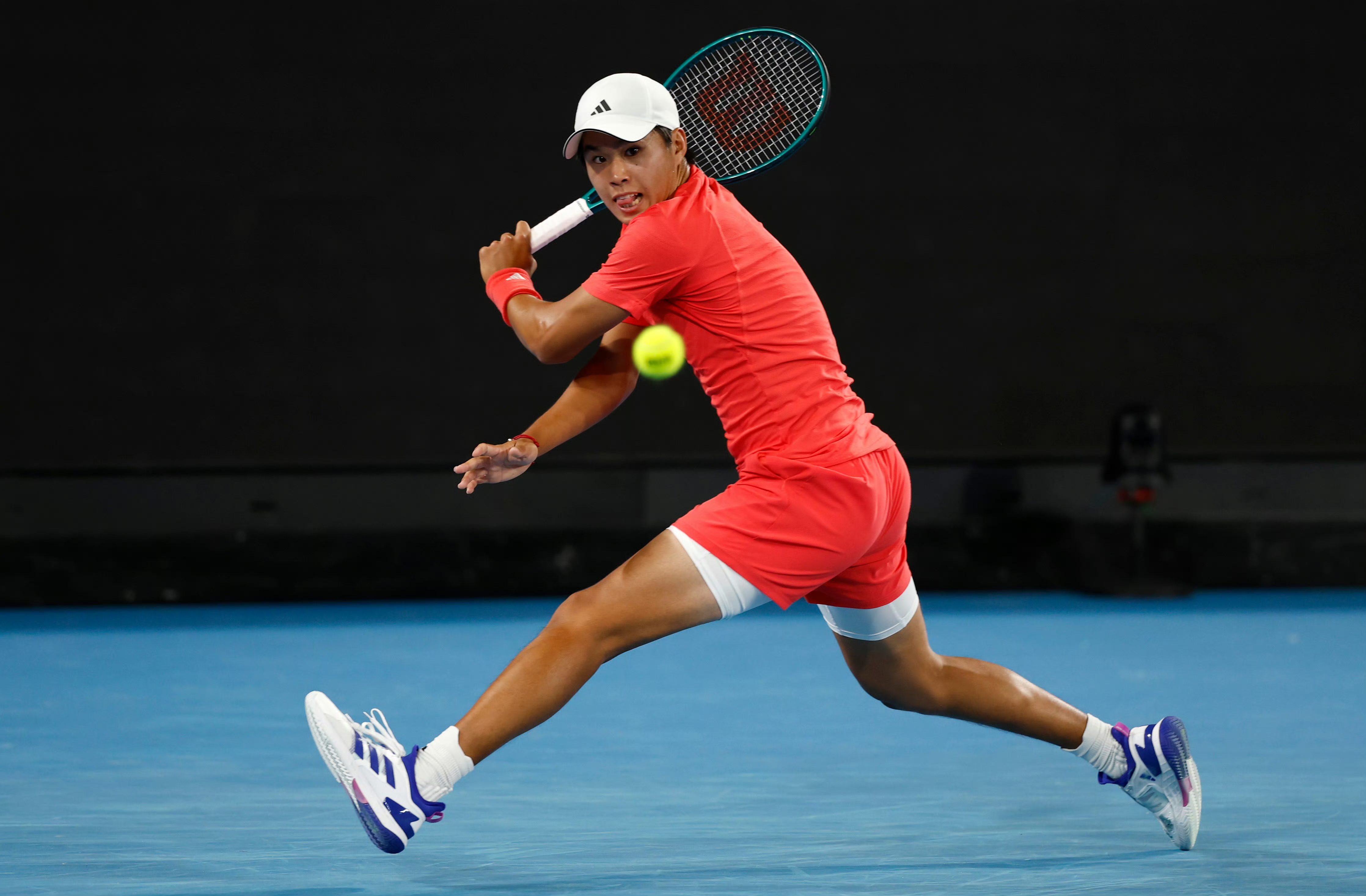 关于法国网球队鏖战澳大利亚网球队，梅德韦杰夫高光表现的信息