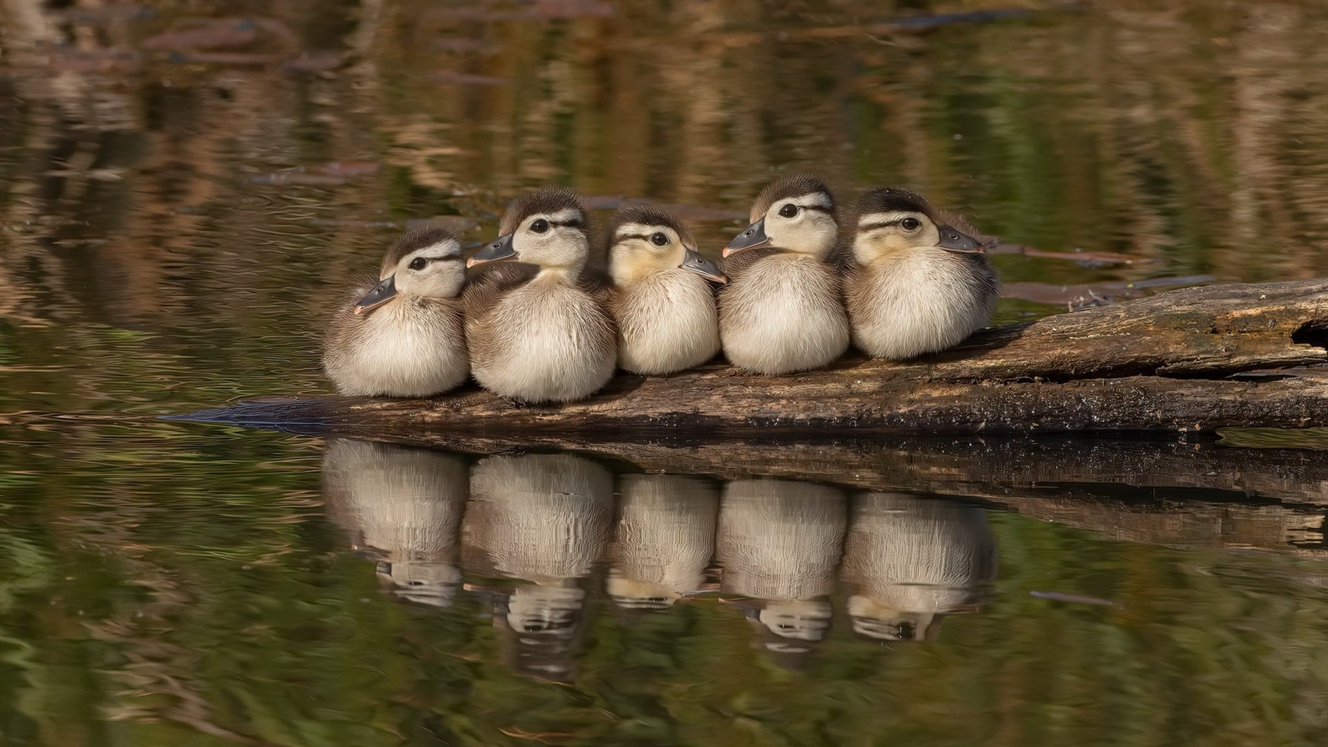 跨界主宰,贝蒂斯掀翻皇马,托尼接管总决赛