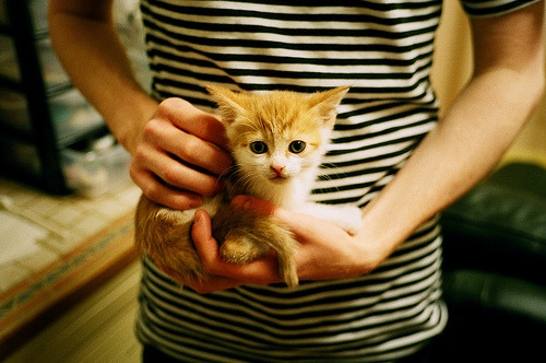 佩德里掌控节奏的艺术，哥斯达黎加绝杀安哥拉背后的战术密码