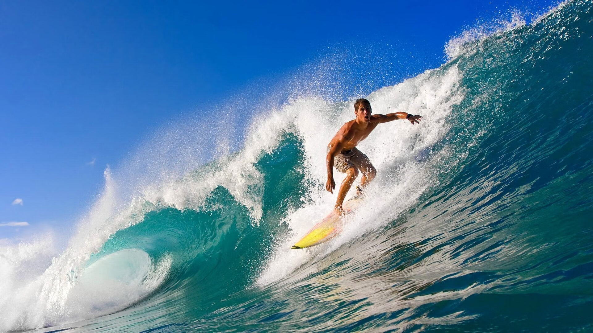 黄蜂绝杀深圳队,小贾伦成为关键先生